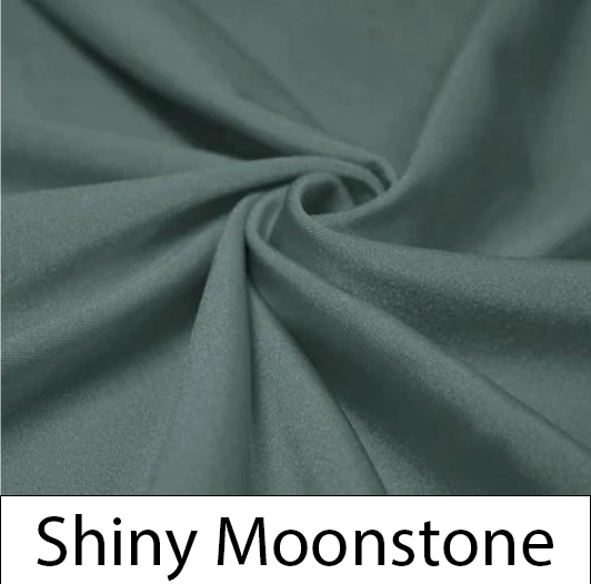 Shiny Moonstone